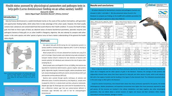 Health status assessed by physiological parameters and pathogen tests in kelp gulls (Larus dominicanus) feeding on an urban sanitary landfill