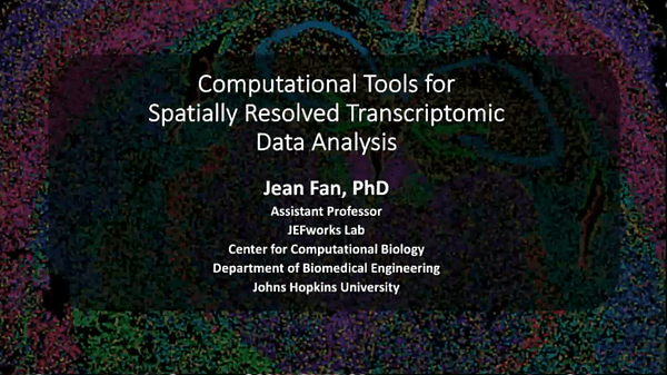 Computational methods for characterizing spatial gene expression heterogeneity in tissues