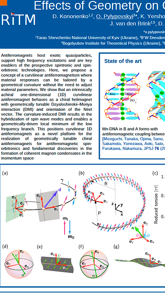 Effects of Geometry on Curvilinear Spin Chains