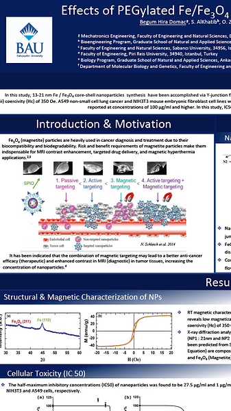 Effects of PEGylated Fe/Fe3O4 Core Shell Nanoparticles on Cancer Cells