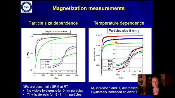 Nanoscale magnetic correlations and fluctuations in assemblies of Fe3O4 nanoparticles