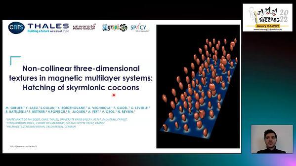 Non-Collinear Three-Dimensional Textures In Magnetic Multilayers: Hatching of Skyrmionic Cocoons