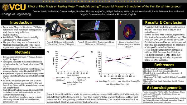 Effect of Fiber Tracts on Resting Motor Thresholds During Transcranial Magnetic Stimulation