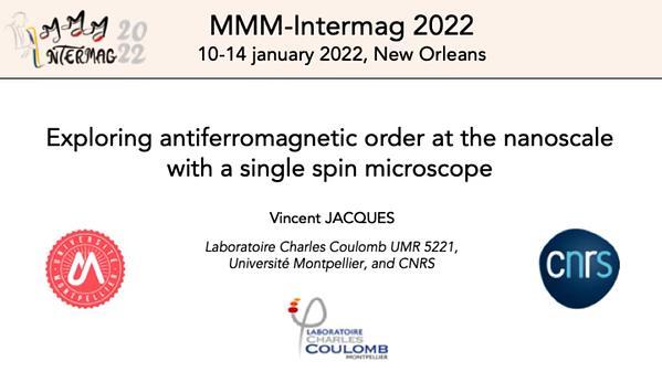 Exploring antiferromagnetic order at the nanoscale with a single spin microscope