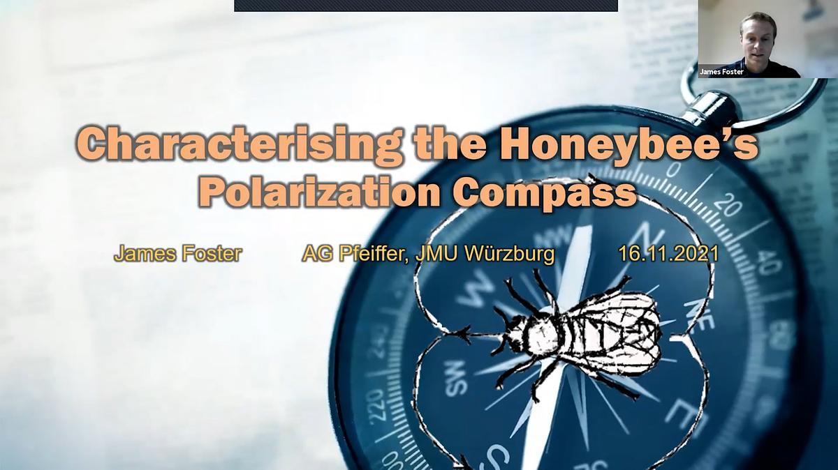 Lecture image placeholder