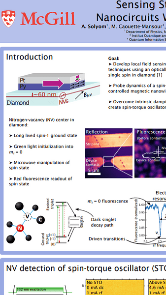 GMW Best Poster Award 2 - Sensing Stray Fields From Magnetic Nanocircuits With Nitrogen-Vacancy Defects