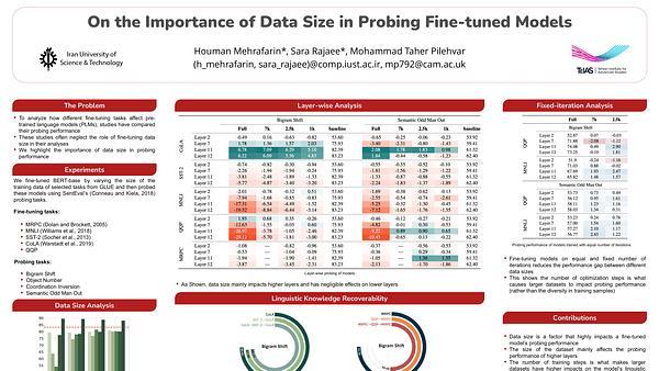 On the Importance of Data Size in Probing Fine-tuned Models