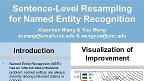 Sentence-Level Resampling for Named Entity Recognition