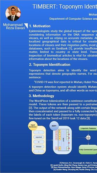 TIMBERT: Toponym Identifier For The Medical Domain Based on BERT