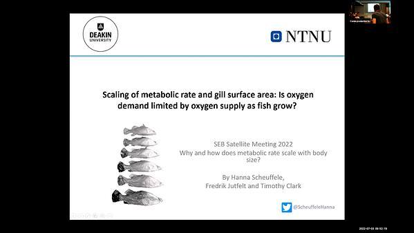 Scaling relationships of metabolic rate and gill surface area: Is oxygen demand limited by oxygen supply as fish grow?