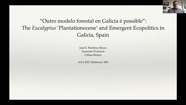 Nation Beyond Plantation: The Eucalyptus 'Plantationocene' And Emergent Ecopolitics In Galicia, Spain