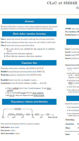 Birth defect mention detection