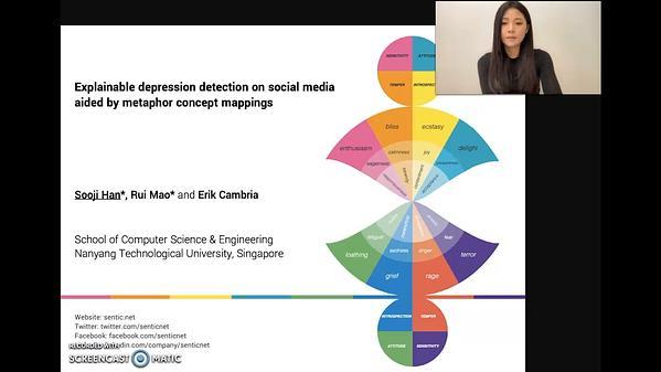 Hierarchical Attention Network for Explainable Depression Detection on Twitter Aided by Metaphor Concept Mappings