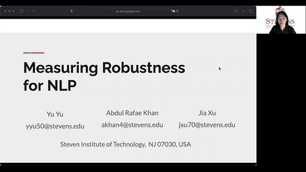 Measuring Robustness for NLP