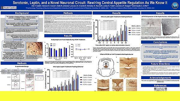 Endocrinology - Serotonin, Leptin, and a Novel Neuronal Circuit: Rewiring Central Appetite Regulation As We Know It - Endocrinology