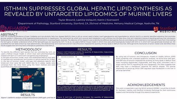 Isthmin Suppresses Global Hepatic Lipid Synthesis as Revealed by Untargeted Lipidomics of Murine Livers