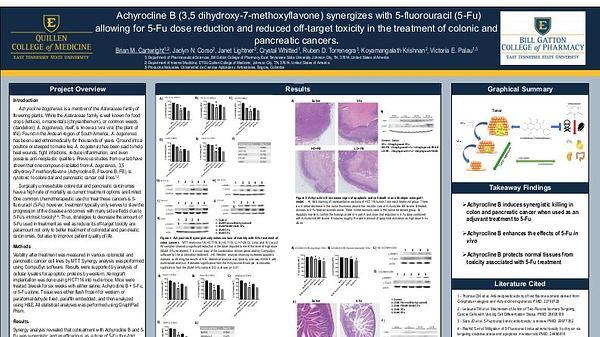 Achyrocline B (3,5 dihydroxy-7-methoxyflavone) synergizes with 5-fluorouracil (5-Fu) allowing for 5-Fu dose reduction and reduced off-target toxicity in the treatment of colonic and pancreatic cancers