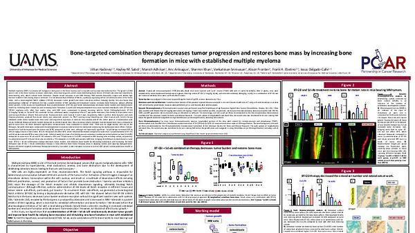 Bone-targeted combination therapy decreases tumor progression and restores bone mass by increasing bone formation in mice with established multiple myeloma