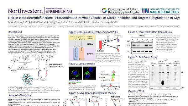 First-in-class Heterobifunctional Proteomimetic Polymer Capable of Direct Inhibition and Targeted Degradation of Myc