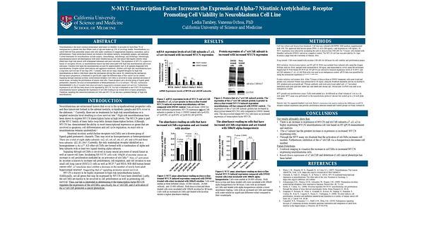 N-MYC Transcription Factor Increases the Expression of Alpha-7 Nicotinic Acetylcholine Receptor Promoting Cell Viability in Neuroblastoma Cell Line