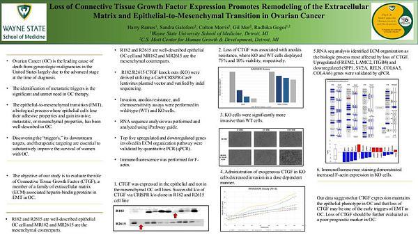 Loss of Connective Tissue Growth Factor Expression Promotes Remodeling of the Extracellular Matrix and Epithelial-to-Mesenchymal Transition in Ovarian Cancer