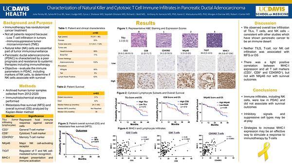 Characterization of Natural Killer and Cytotoxic T Cell Immune Infiltrates in Pancreatic Ductal Adenocarcinoma