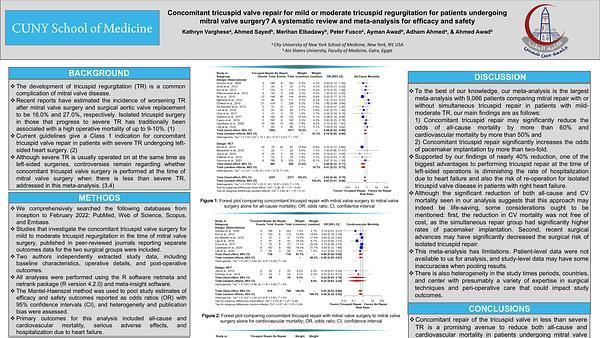 Concomitant tricuspid valve repair for mild or moderate tricuspid regurgitation for patients undergoing mitral valve surgery? A systematic review and meta-analysis for efficacy and safety