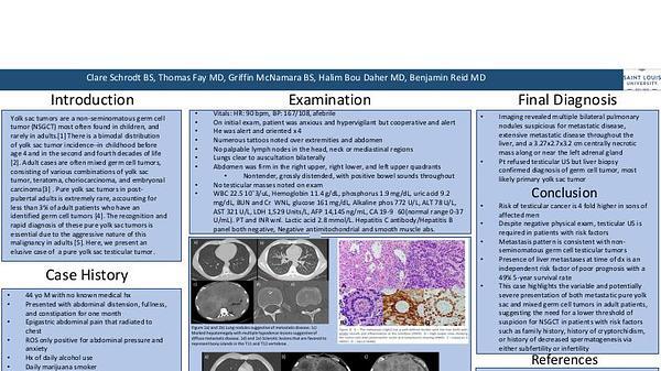 Unusual Presentation of a Pure Yolk Sac Tumor in an Adult Male: A Case Report