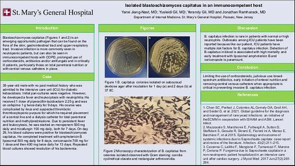 Isolated blastoschizomyces capitatus in an immunocompetent host