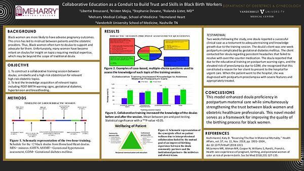 Collaborative Education as a Conduit to Build Trust and Skills in Black Birth Workers