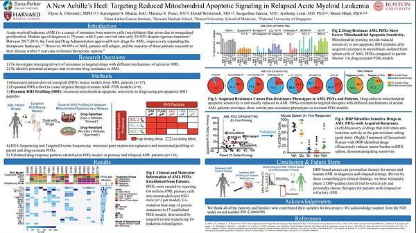 A New Achille’s Heel: Targeting Reduced Mitochondrial Apoptotic Signaling in Relapsed Acute Myeloid Leukemia