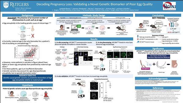 Decoding Pregnancy Loss: Validating a Novel Genetic Biomarker of Poor Egg Quality