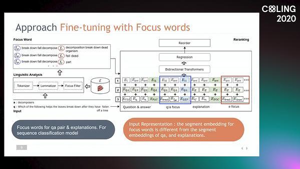 Fine-tuning BERT with Focus Words for Explanation Regeneration