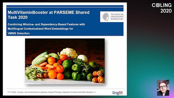 MultiVitaminBooster at PARSEME Shared Task 2020