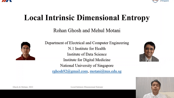 Local Intrinsic Dimensional Entropy