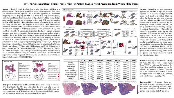 HVTSurv: Hierarchical Vision Transformer for Patient-level Survival Prediction from Whole Slide Image