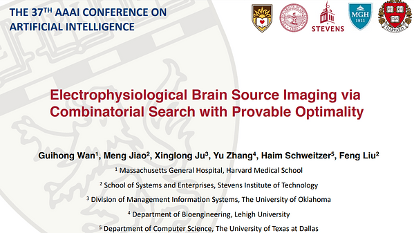 Electrophysiological Brain Source Imaging via Combinatorial Search with Provable Optimality