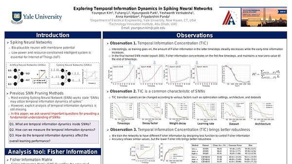 Exploring Temporal Information Dynamics in Spiking Neural Networks