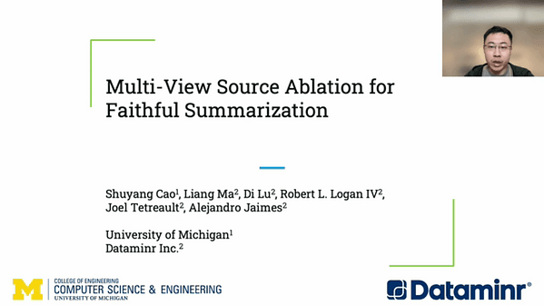 Multi-View Source Ablation for Faithful Summarization