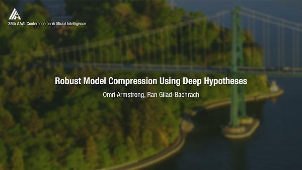 Robust Model Compression Using Deep Hypotheses