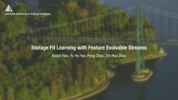 Storage Fit Learning with Feature Evolvable Streams