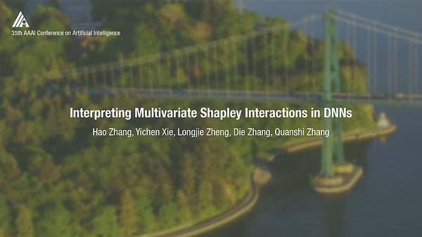 Interpreting Multivariate Shapley Interactions in DNNs