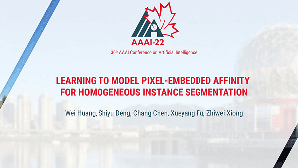 Learning to Model Pixel-Embedded Affinity for Homogeneous Instance Segmentation