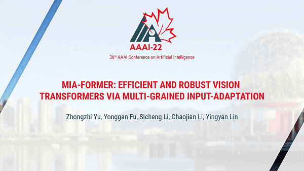 MIA-Former: Efficient and Robust Vision Transformers via Multi-Grained Input-Adaptation
