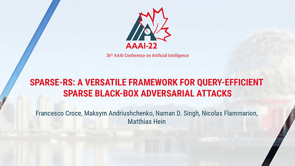 Sparse-RS: A Versatile Framework for Query-Efficient Sparse Black-Box Adversarial Attacks