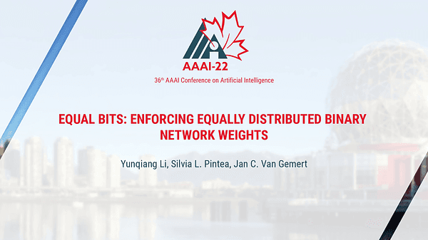 Equal Bits: Enforcing Equally Distributed Binary Network Weights
