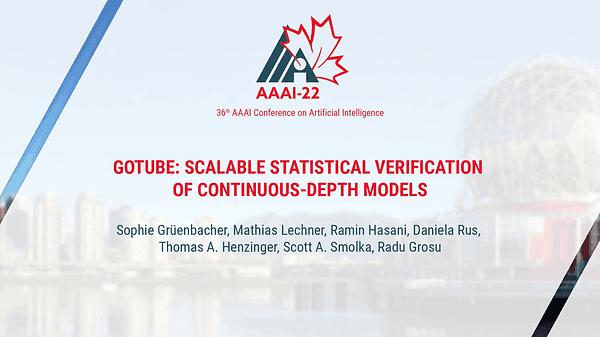 GoTube: Scalable Statistical Verification of Continuous-Depth Models