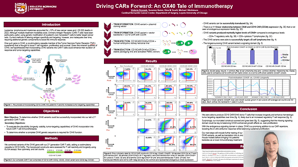 Driving CARs Forward: An OX40 Tale of Immunotherapy