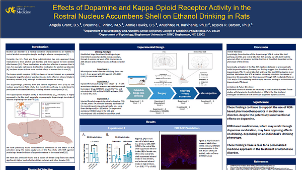 Effects of Dopamine and Kappa Opioid Receptor Activity in the Rostral Nucleus Accumbens Shell on Ethanol Drinking in Rats