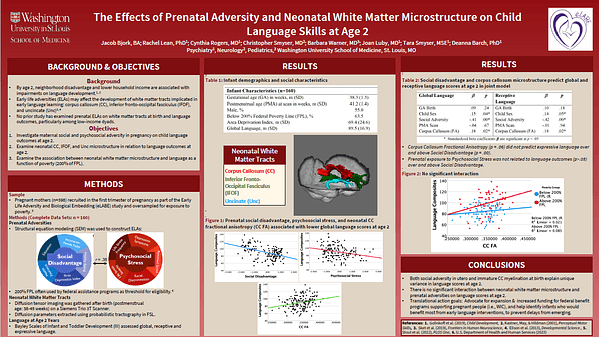 The Effects of Prenatal Adversity and Neonatal White Matter Microstructure on Child Language Skills at Age 2